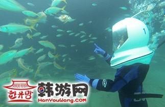 韩国旅游冬季济州岛好玩吗,韩国旅游攻略济州岛购物