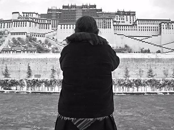 不止眼前的苟且还有远方的苟且,生活不止眼前的苟且还有远方英文