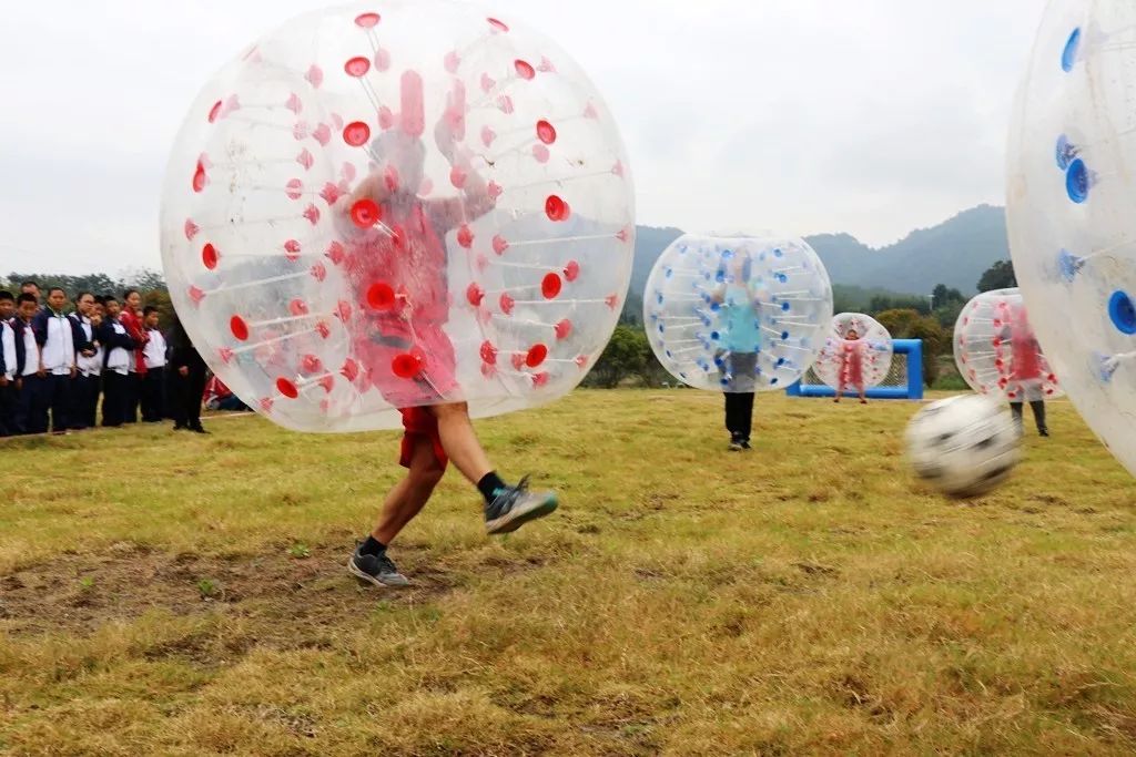 微拍拍｜乡趣“绿之恋”掠影二：草地悠波球欢乐碰碰碰