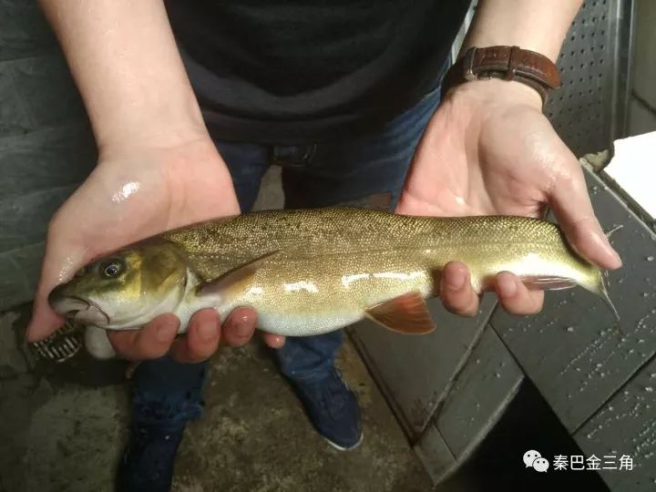 第一次来星级酒店觉得自己老土,星级酒店好进么