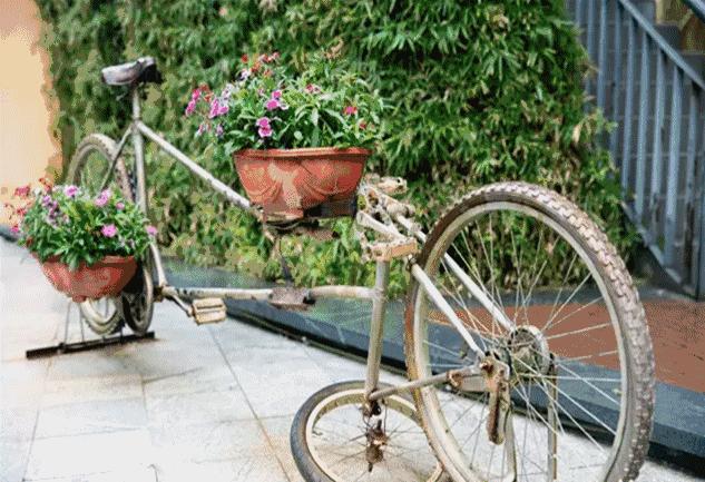 鹿晗和关晓彤的定情之作,鹿晗和关晓彤真的成为了情侣吗