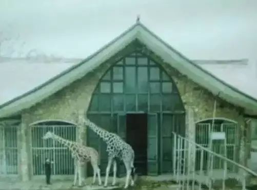 南京有玄武湖区吗,南京玄武湖有多少人