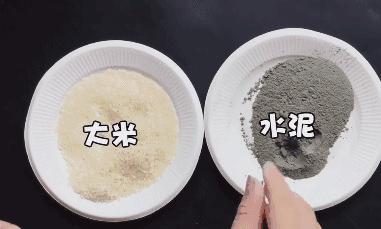 家里有老鼠怎么办快速灭鼠的方法,自制灭老鼠最有效又简单的方法