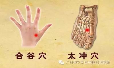 中医如何治疗抑郁症和精神分裂症,抑郁症在中医上是怎么治疗的