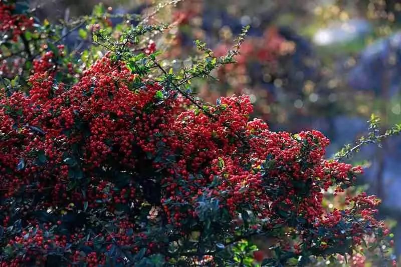 秋天必打卡的地方,石柱秋天打卡