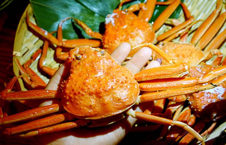 十月吃蟹指南：成都最好吃的8家蟹都在这里了