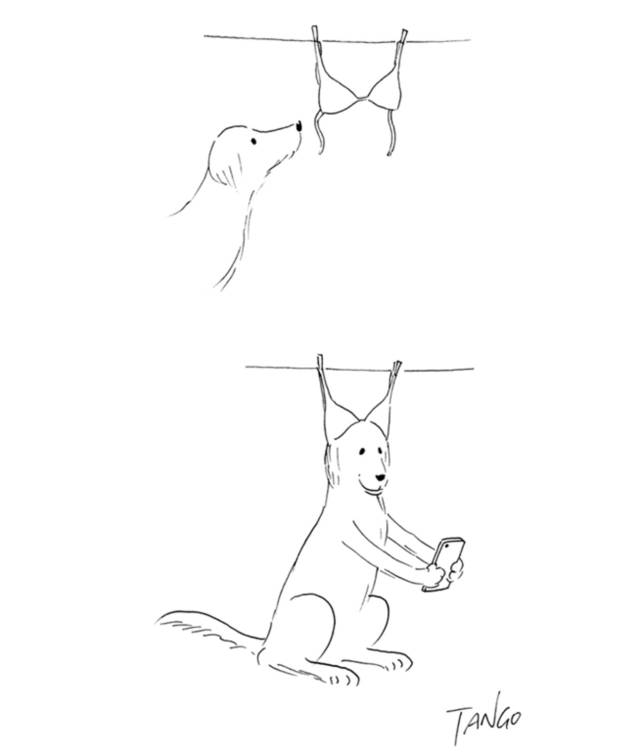 超治愈！数学系大叔用扑克牌画出有趣又暖心的漫画，脑洞折服了整个朋友圈！