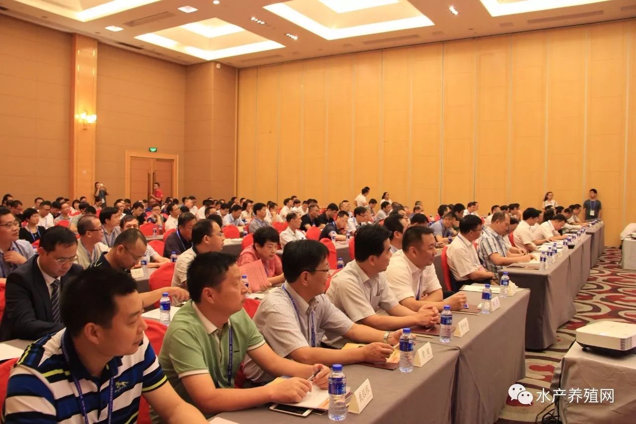 一半以上鳗鱼靠出口，被誉为“水产领域研究最后的一个大金矿”，繁华背后却有隐患