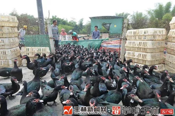 让每个孩子都有出彩的机会图片,让每一个孩子都有人生出彩的机会