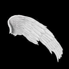 nike的logo容易掉吗,nike的logo是刺绣还是印花