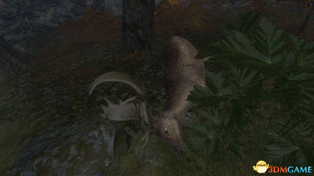 猎人野性的呼唤部分野兽打猎技巧分享