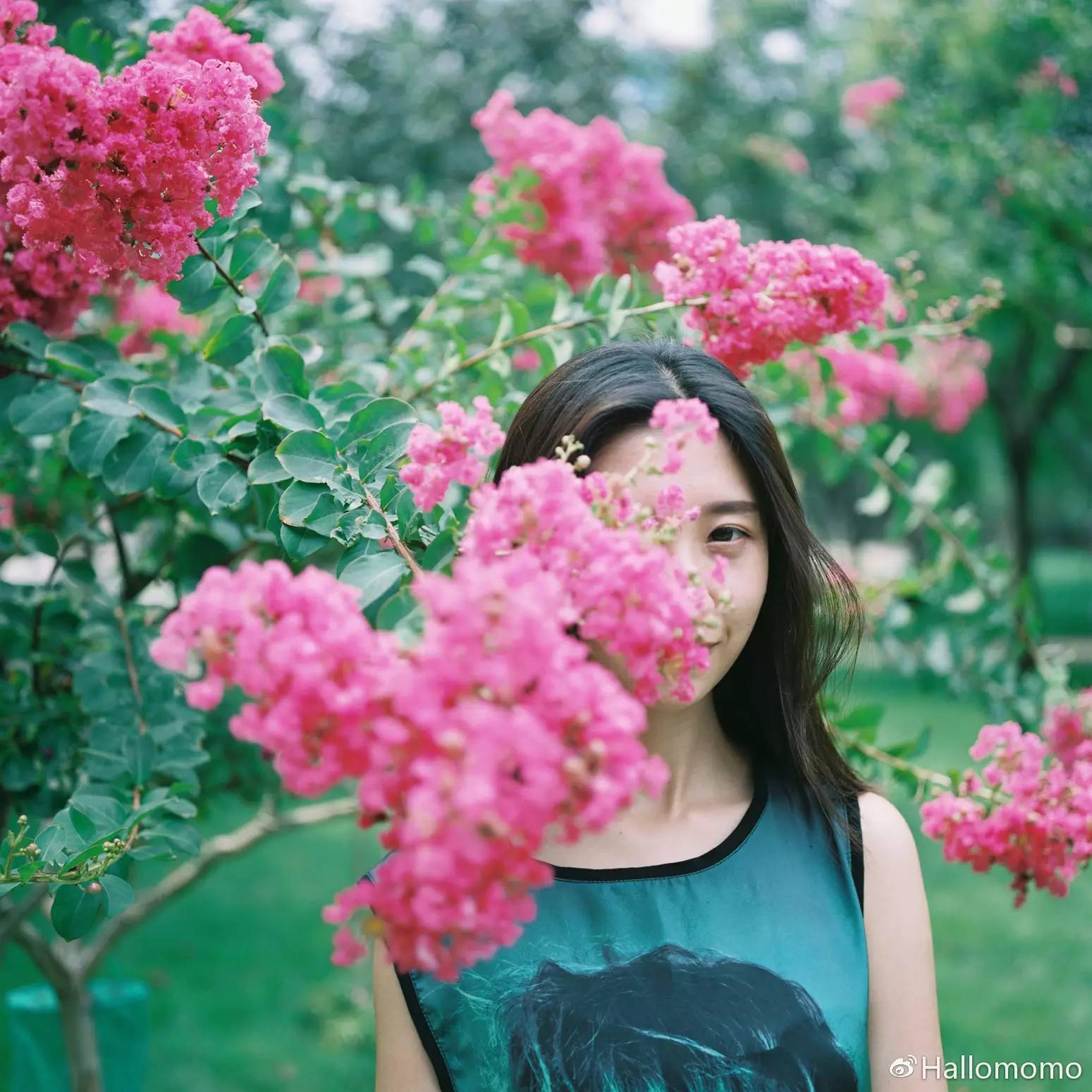 那些年我玩过的胶片机,旁轴胶片机推荐