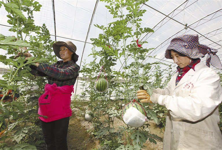 党的八大前中国经济成就,十八大以来西藏经济社会发展纪实