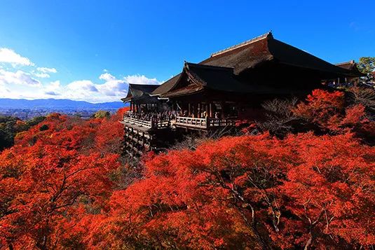 又是一年赏枫季,又是一年赏秋季