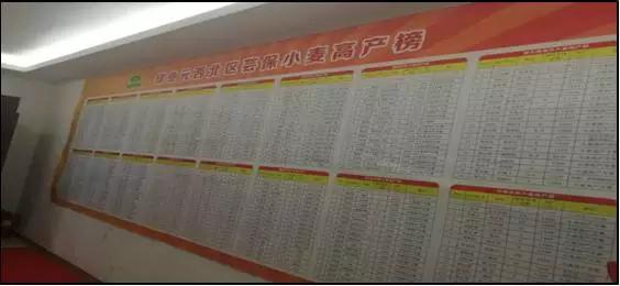 海利尔公司简介,海利尔的发展趋势