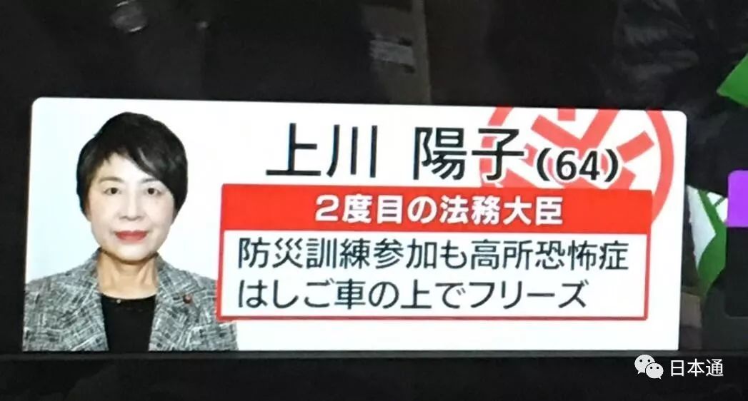 日本参院选举候选人,日本历次众院选举结果