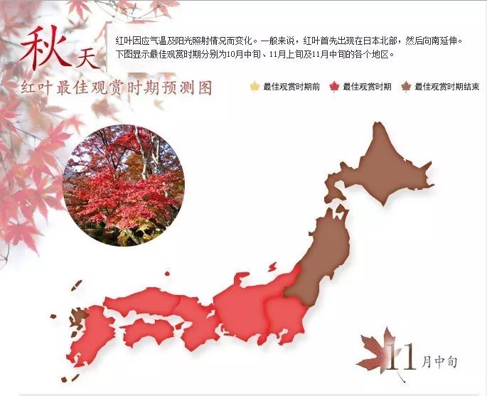 最高级的红色是什么,最高级最不过时的红色是哪一种