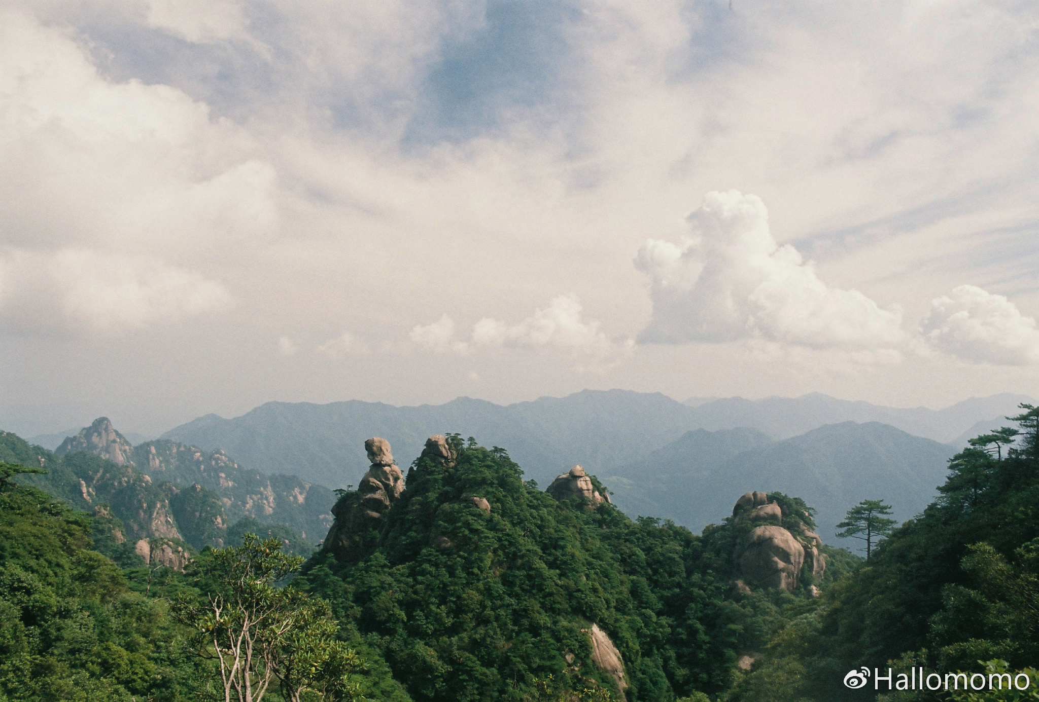 中画幅胶片机推荐,有哪些值得买的胶片机