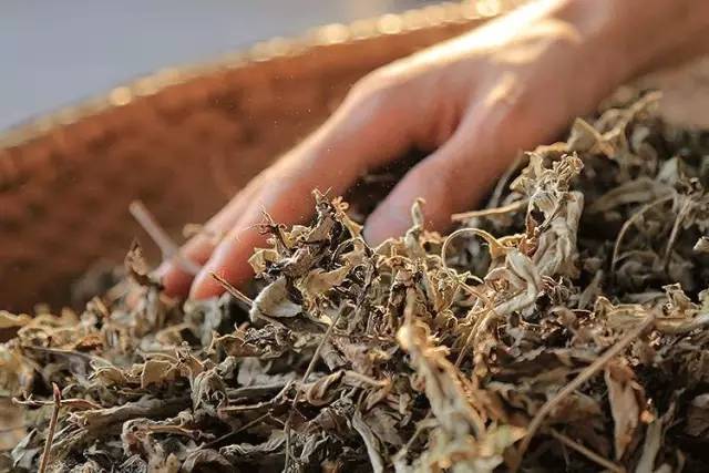 杏林健康养生科普知识,杏林微科普养生方法