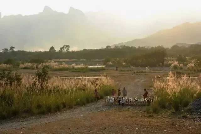 这是一份打开“楠溪江之秋”调色板的攻略！请收下！