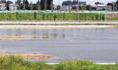 退休干部乒乓球比赛,离退休人员乒乓球比赛