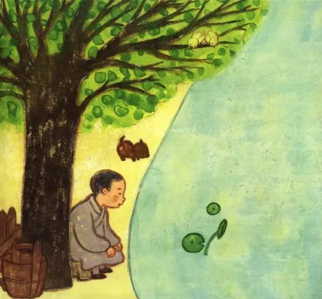 有声绘本故事春天的童话,有声绘本故事大全生命的树