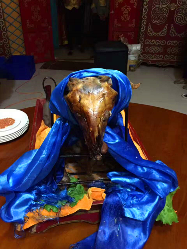 活动回顾｜欧帝亿主题狗狗巴士察哈尔草原深处探秘万年火山