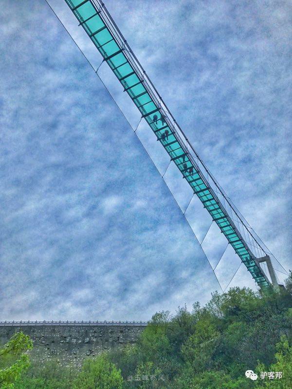 德国植物专家为何不远万里，漂洋过海亲赴72潭景区？