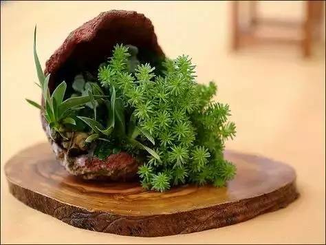 一花一世界一草一天堂一叶一菩提,一花一世界一草一天堂歌曲