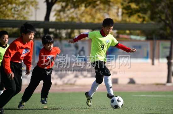 大学组青少年足球联赛唐山赛区,唐山市金凤凰杯高中青少年足球赛