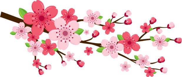 一大波年货正在抢购,一大波礼盒来袭