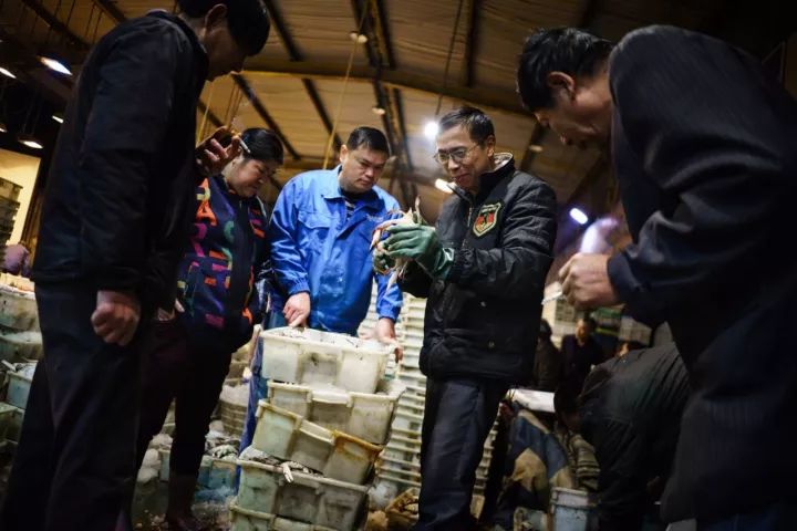 上海吃海鲜必去的地方推荐,距离上海2小时内车程的景点