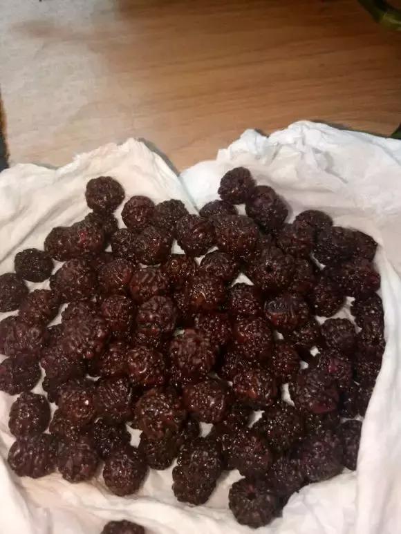 最近直播金刚菩提,金刚菩提水煮变色