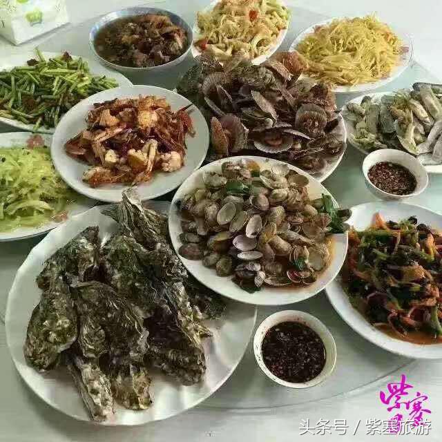 紫塞农家小院介绍,紫塞京津冀农家院