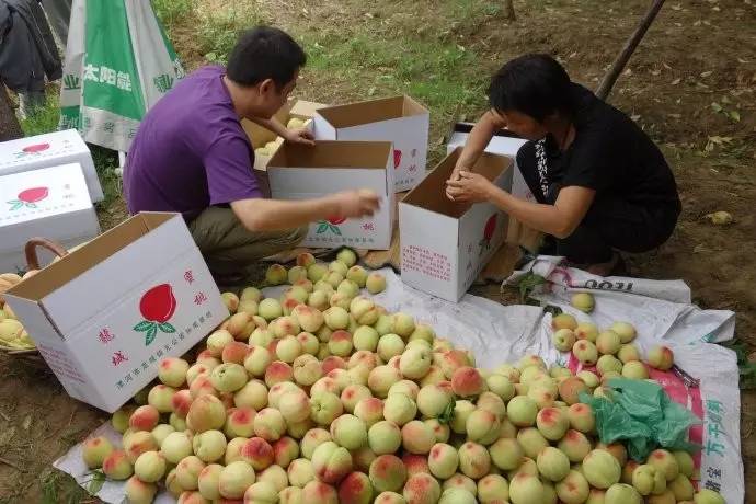 不是天生黑的被晒黑的怎么变白,如果不是天生黑是晒黑的该怎么办