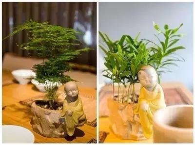 郑州中高端山珍餐厅,人均超高奢侈餐厅