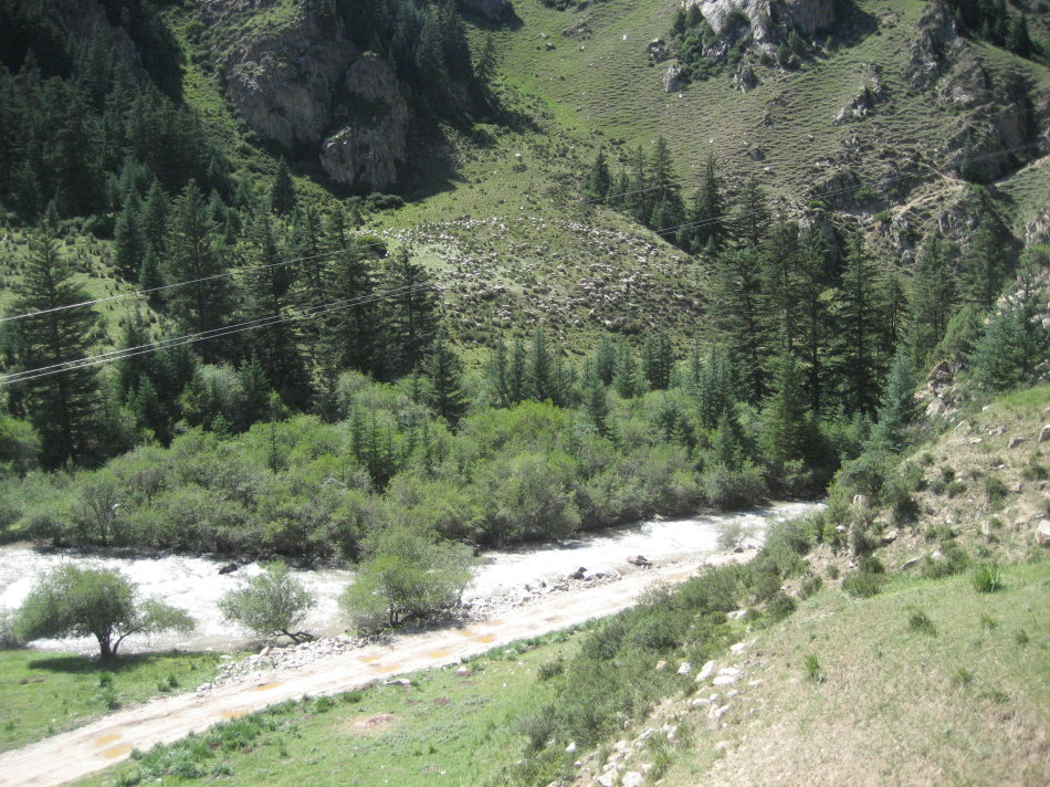 世界第一大马场有多少匹马,世界最大的军马场