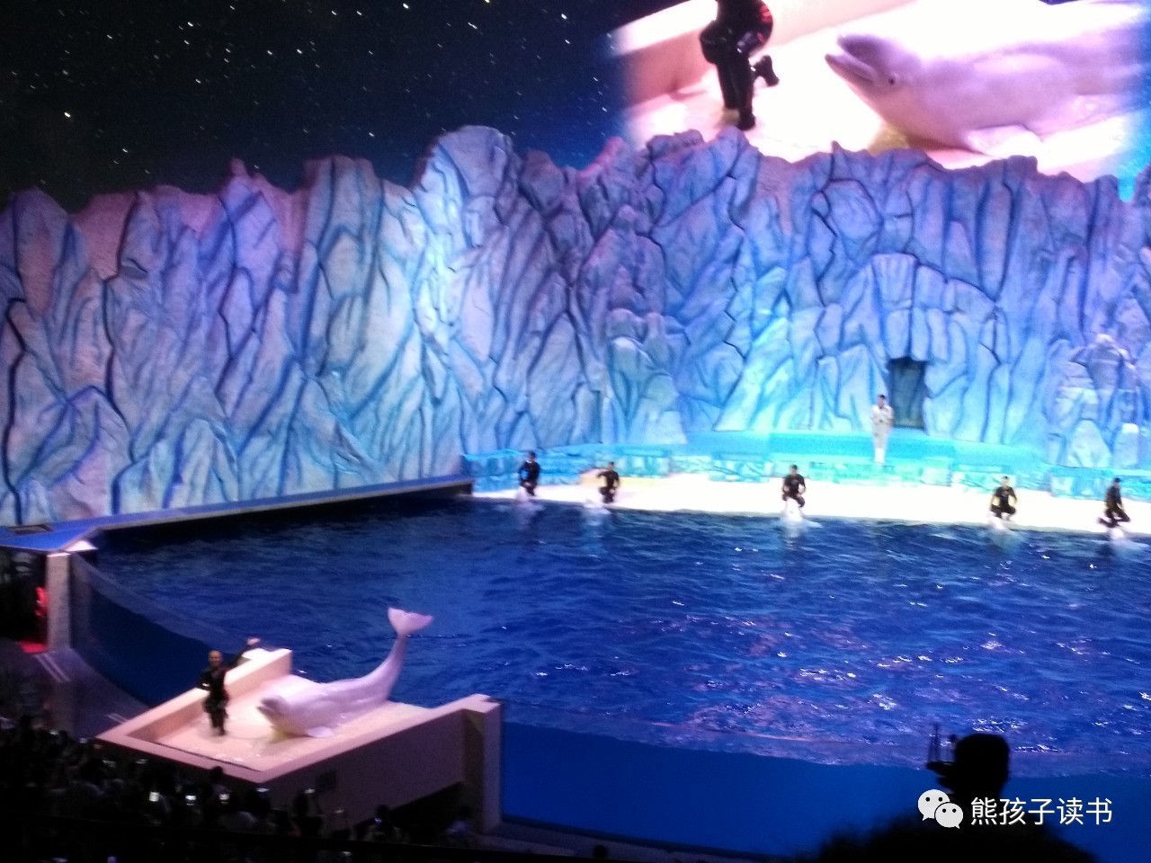 最近珠海长隆海洋王国一日游攻略,自驾游珠海长隆海洋王国一天游