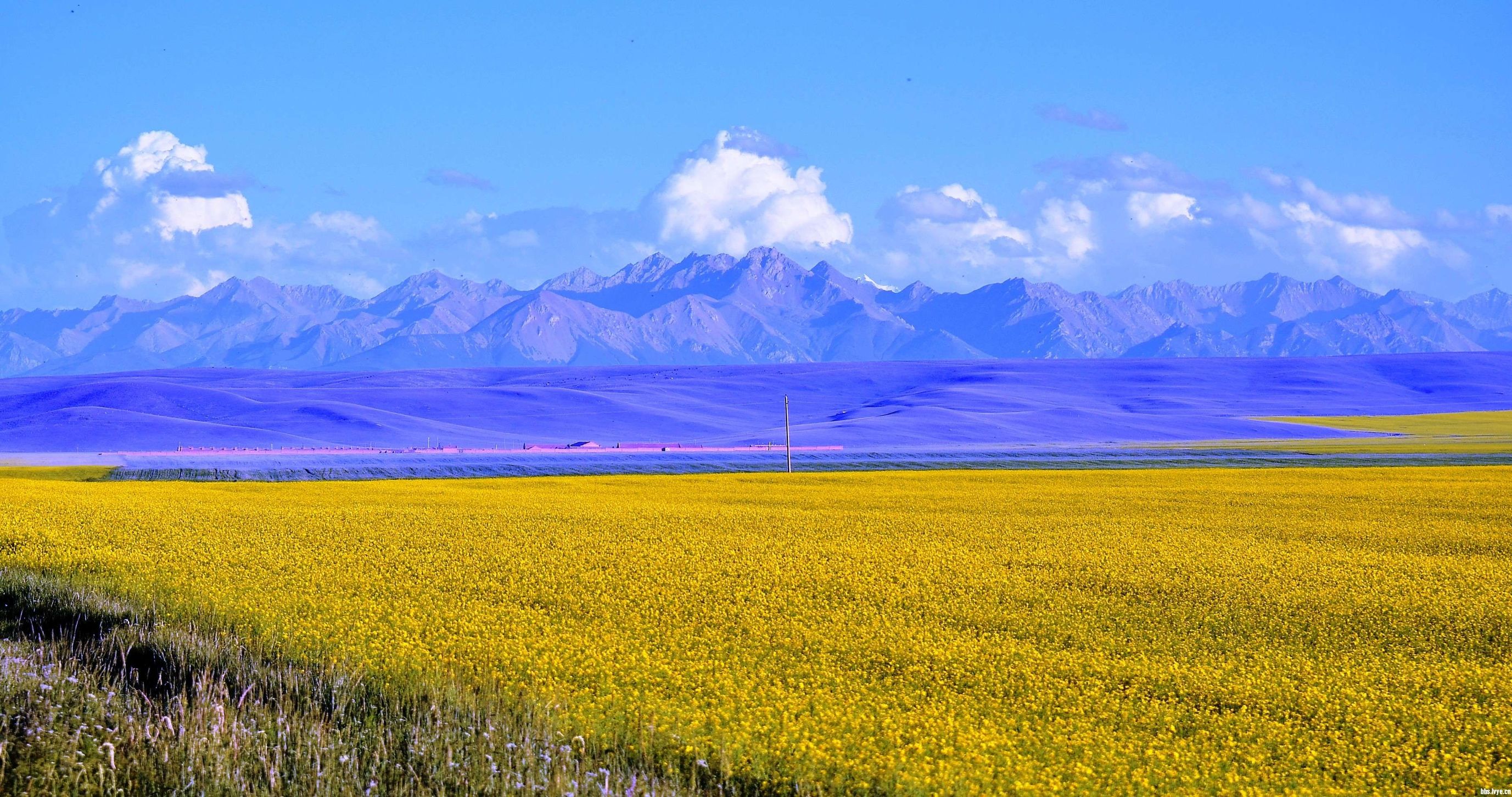 世界第一大马场有多少匹马,世界最大的军马场