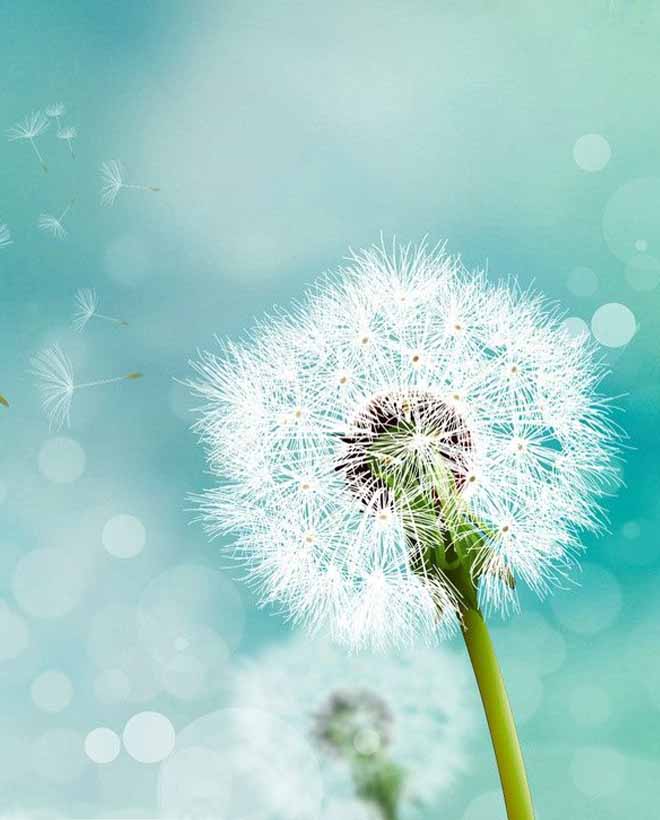 左岸时光，右岸回眸，在心里约定陪你到永远