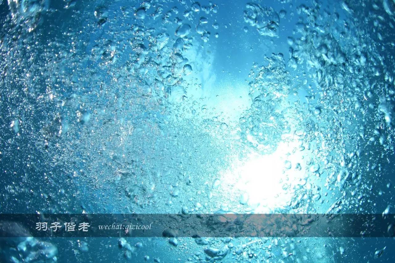 帕劳旅游发展的前景,去帕劳注意事项和必备品