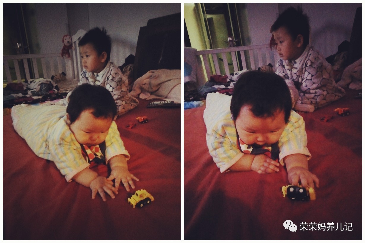 甭管虫子爬、小狗爬还是小熊爬,好歹您也爬一爬!爬行这一步绝对不容错过!