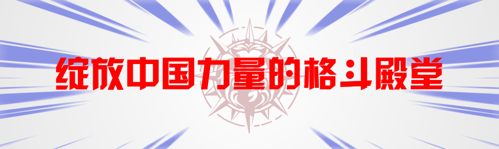中国小将擂台双手背后挑衅韩选手,中国小将挑战日本王者