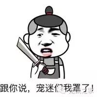 最大的豚鼠视频,世界上最大的豚鼠是什么品种图片