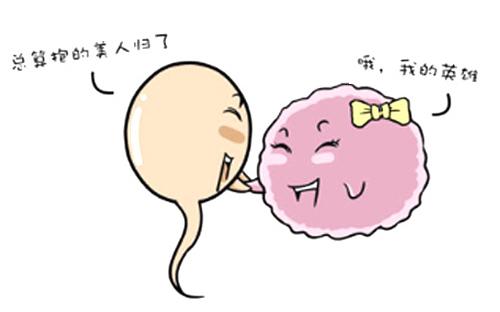 受孕的正确方法和注意事项,原来备孕这么难