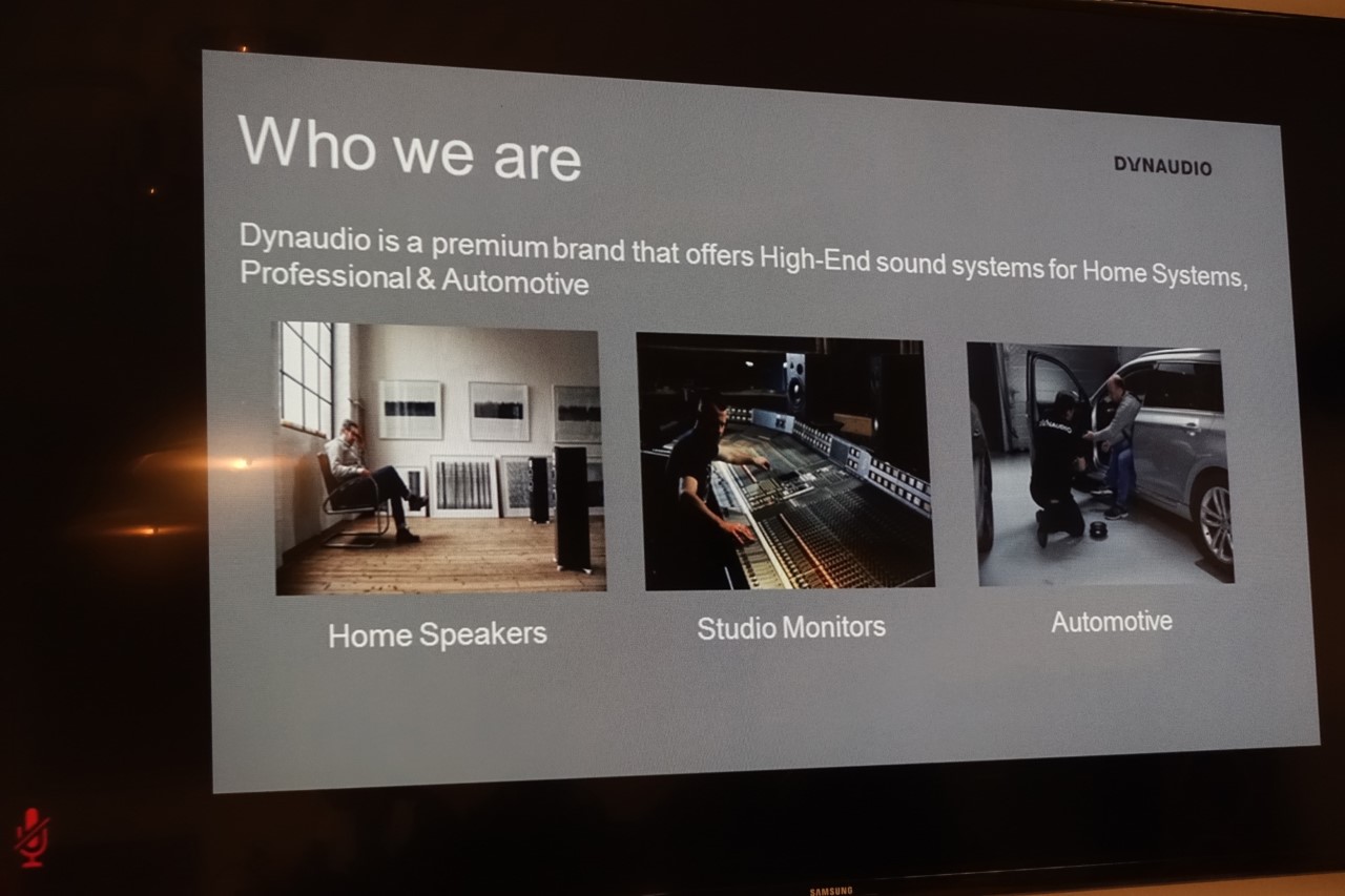 涓规嬁涓归害鎬婚儴,涓规嬁dynaudio2019