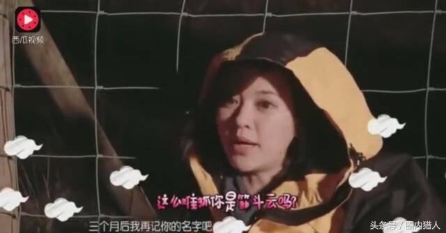 陈意涵第1任男友,陈意涵47个前男友完整版