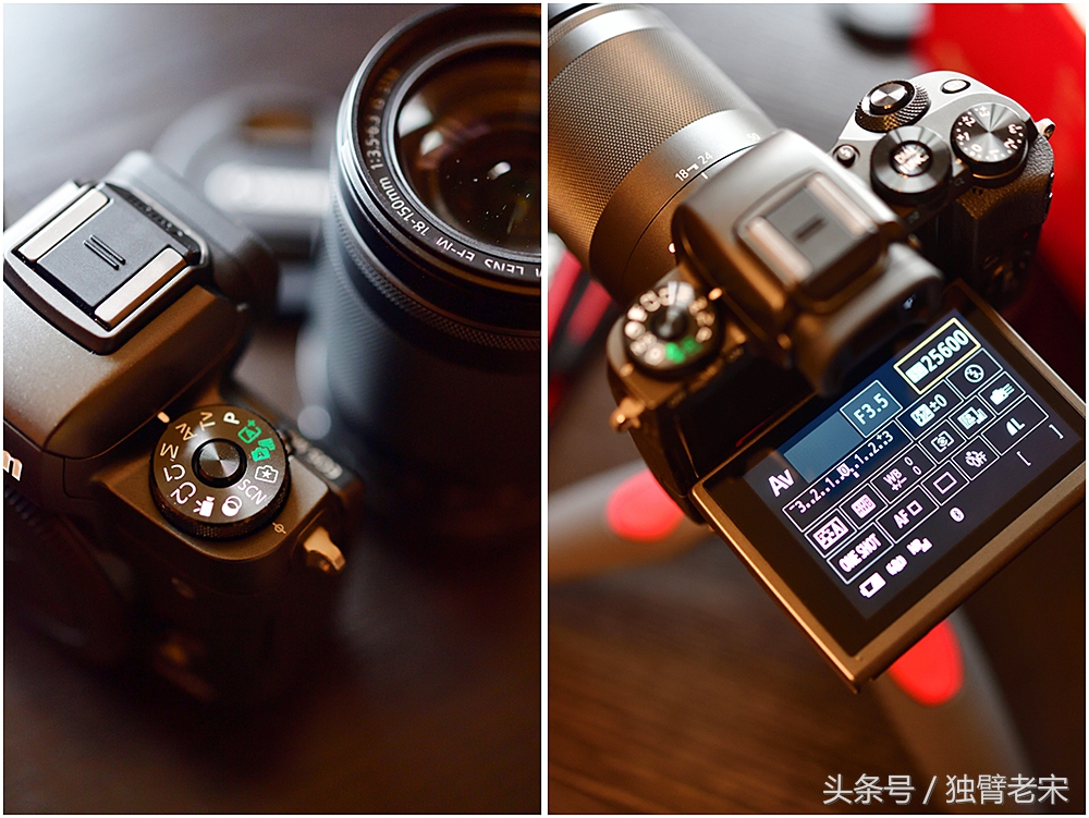 肯尼亚大草原狮子为什么不攻击人,肯尼亚非洲大草原雄狮大战犀牛