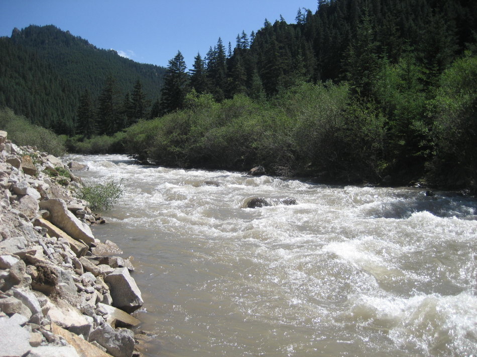 世界第一大马场有多少匹马,世界最大的军马场