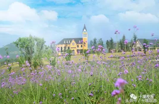 子胥湖欢乐嘉年华夜场电话,子胥湖欢乐嘉年华门票